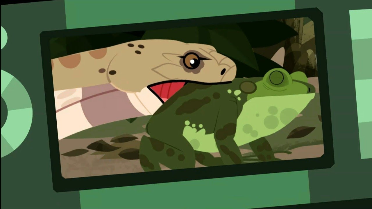 Veneno de cobra | Aventuras con los Kratt