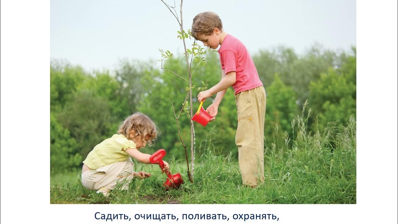 значит сажает. растение в руках. значит сажает. значит сажает. значит сажает.