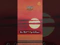 Keep Our Hearts Firm | Surah Imran Ayat 8-9 | Quranic Studio #shorts #islamicreminder #viralshorts