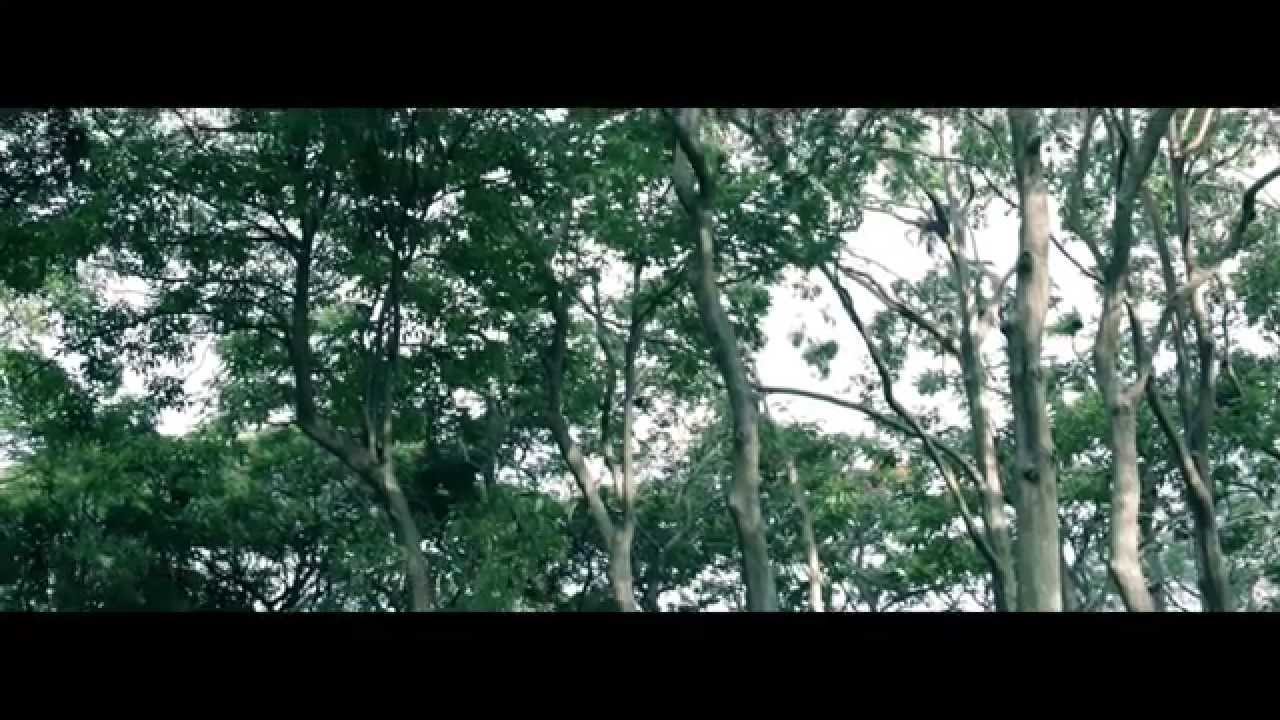 Todo es posible - Ricky Halley - Official videoclip 