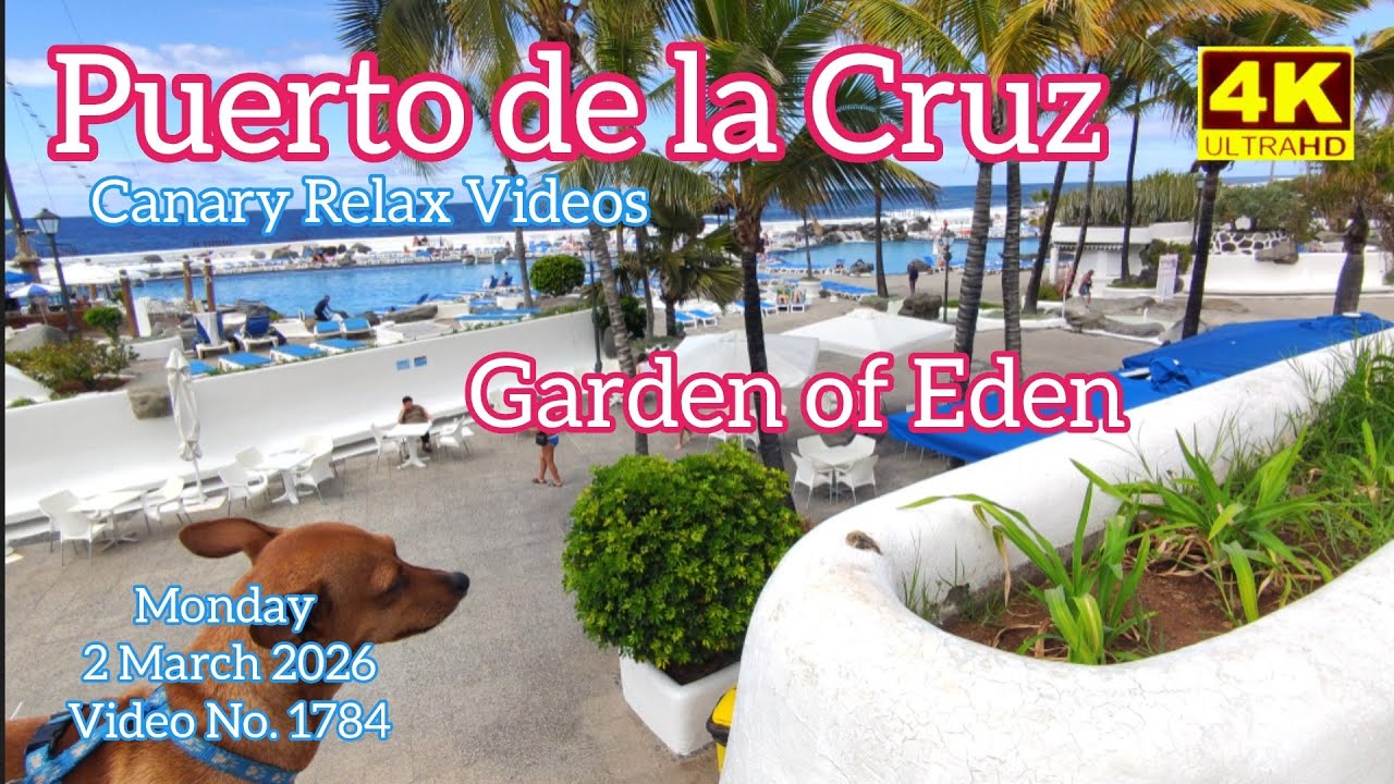 Тенерифе 🏝️Райский сад Пуэрто де ла Крус