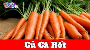 Bé Học Củ Cà Rốt | Nhận Biết Rau Củ Quả Cho Bé | Dạy Bé Học Thông Minh