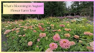 August Flower Farm & Garden Tour. Peak Summer Blooms + The First Signs of Fall