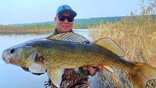 How to Finesse Jig for BIG WALLEYE (Ned Rig Technique)