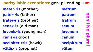 Third Declension Nouns in Latin Part 4: Parisyllabic Exceptions