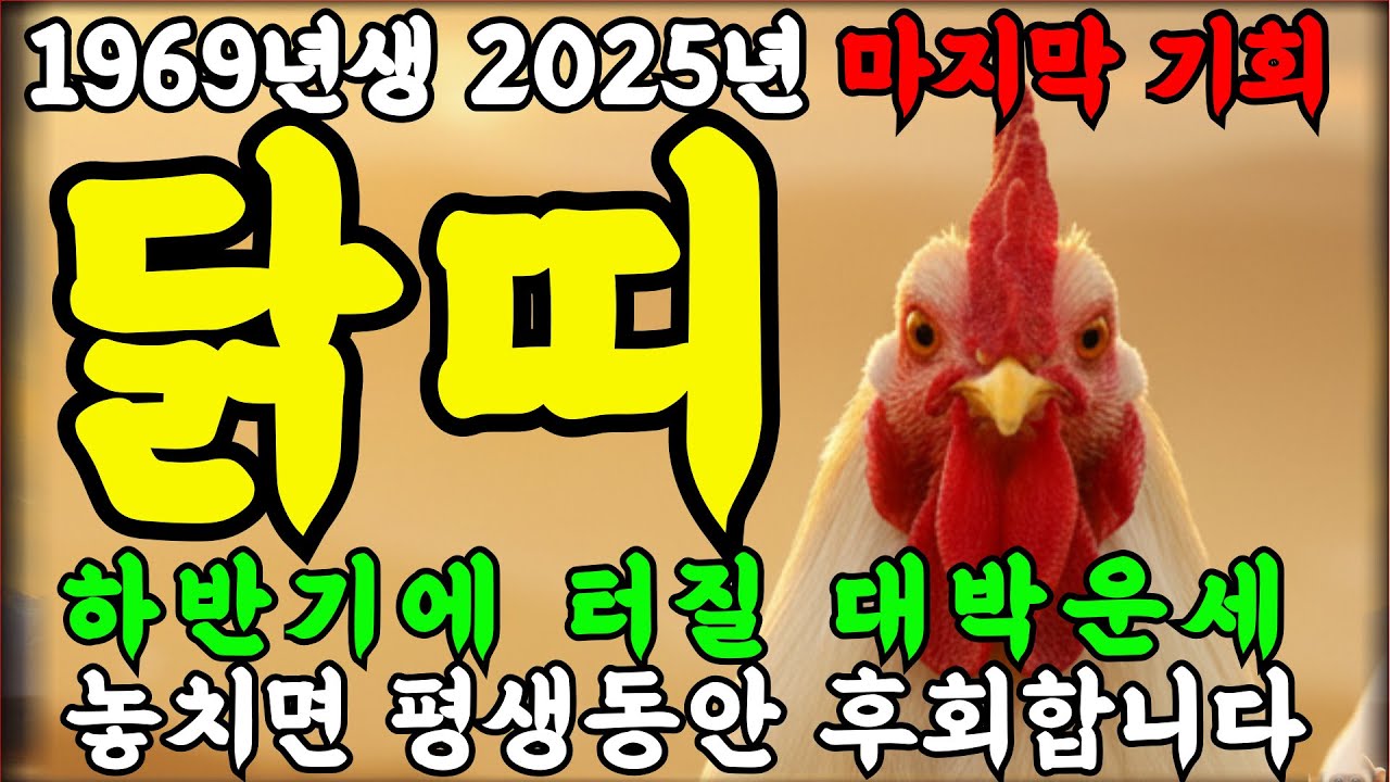 닭띠 큰일났다! 2025년 1969년 57세 기유생 닭띠 인생 말년운세! 외면당했던 각박한 인생 반전의 기회온다!