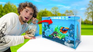 From JAR to PARADISE My Betta’s DREAM Tank SETUP!! ( EASY )