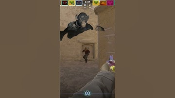 I bealive i can flash | #twitchstreamer #cs2 #drlinebacker #gaming #counterstrike #csgomoments