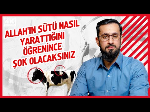 Allah'ın Sütü Nasıl Yarattığını Öğrenince Şok Olacaksınız | Mehmet Yıldız