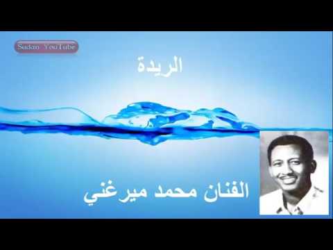 الفنان محمد ميرغني الريدة