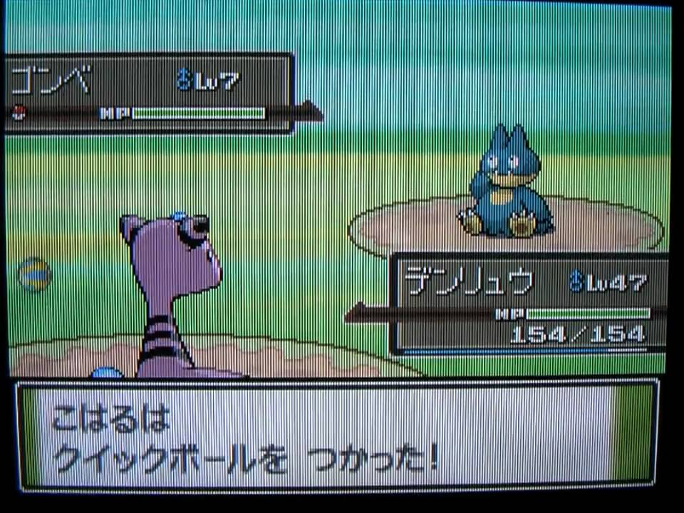 ポケモン プラチナでゴンベゲット Youtube