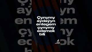 Syke Dali - Çapady 2024