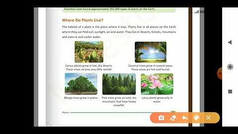 Mylestone EVS chapter 6 Plants  Where do plants live?