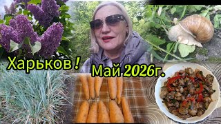 15 мая 2026г.Харьков💙💛Украина!
