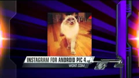 Instagram for Android Coming Soon