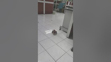 Assignment 2 MEEM1803 Robot Control Interface and Motion Video