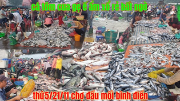 chợ ế cá tôm đổ đống xổ rẻ bất ngờ chợ đầu mối bình điền
