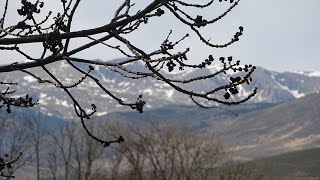 ES UNA OPCION EL PIRINEO FRANCES PARA DESCONECTAR? Viajes en autocaravana EL Rincón del Divan