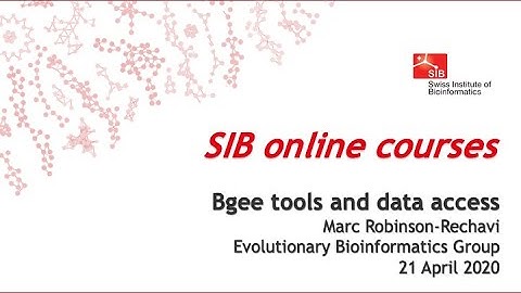 Bgee tools and data access