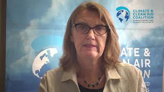 Helena Molin Valdes, Climate and Clean Air Coalition Secretariat Helena Molin Valdes, Climate and Clean Air Coalition Secretariat