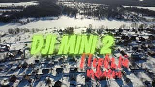 Dji mini 2 Первый полет на квадрокоптере