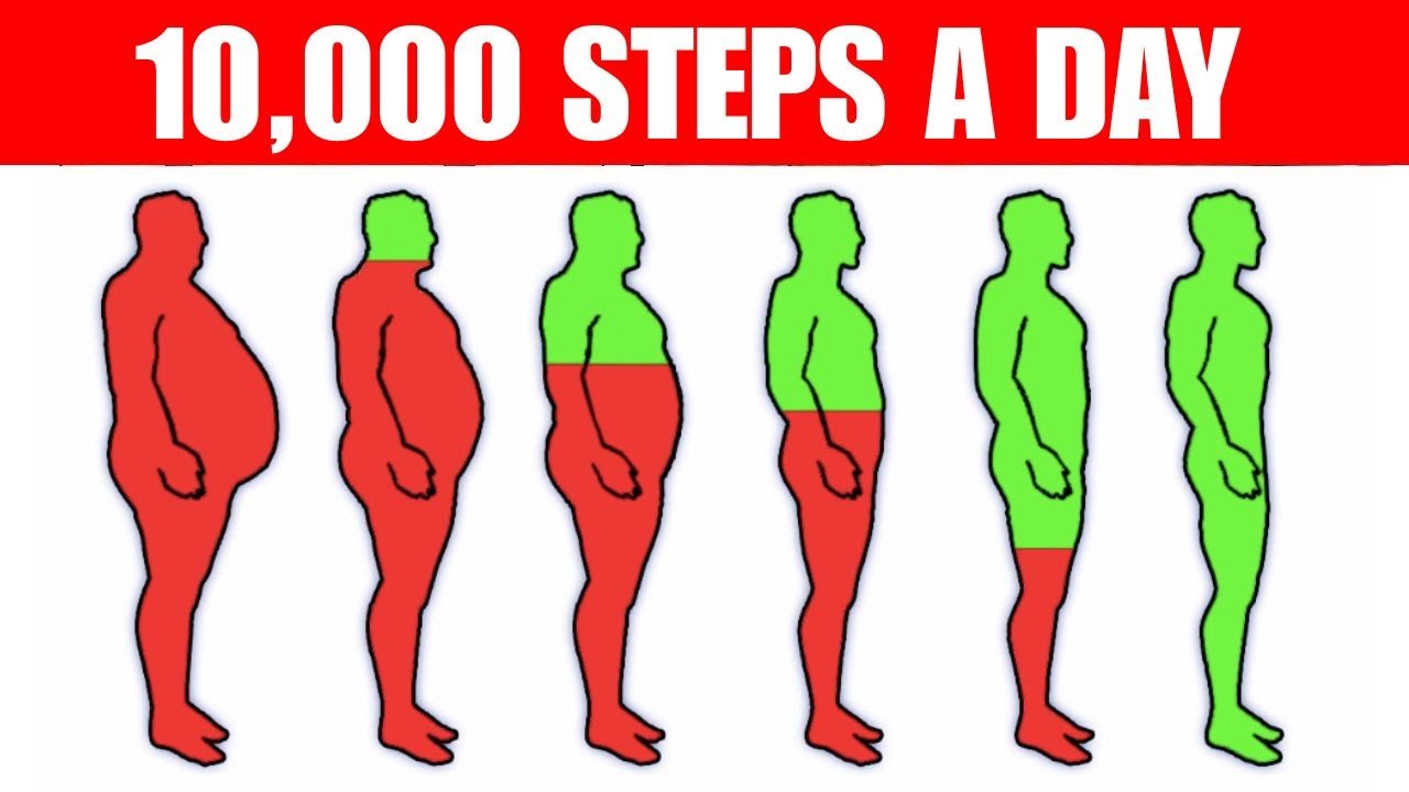 What Happens To Your Body When You Walk 10,000 Steps Every Day? - YouTube