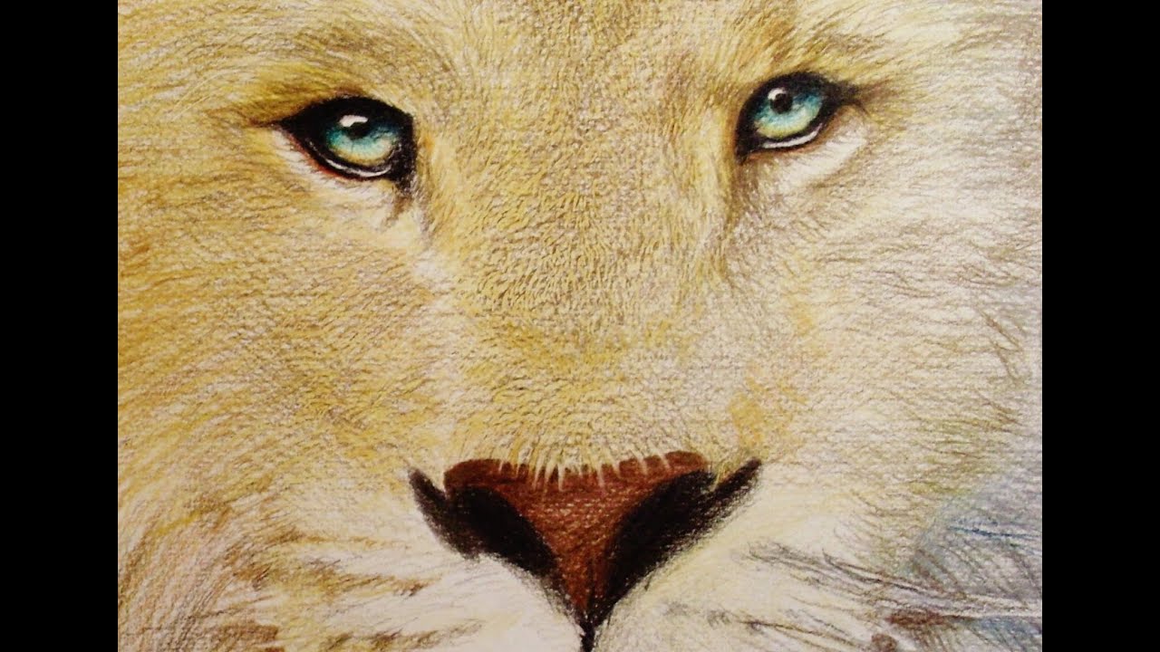 Speed Drawing - Aslan (The Cronicles Of Narnia) - YouTube