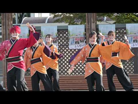 学生コンパス　よさこいチーム　叢雲　むらくも　土佐学生よさこい交流祭2020　2020年11月28日