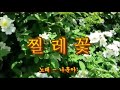 찔레꽃 나훈아