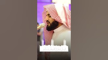 آرح قلبك 💜 سورة هود بصوت رعد الكردي حالات واتس اب راحة نفسیة