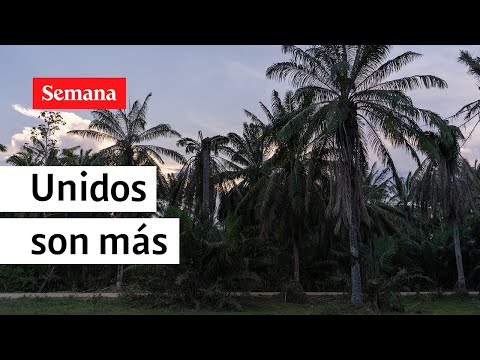 YouTube video bJWMFmKYXCI thumbnail