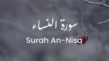 سورة النساء للشيخ علي البراق | المصحف المرتل