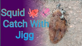 how to catch squid with a jig/ cuttlefish     #emiratesfisherman
