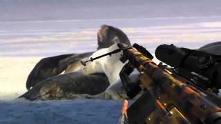 MW2 Weapon Masking Test ( Sony Vegas 9 )