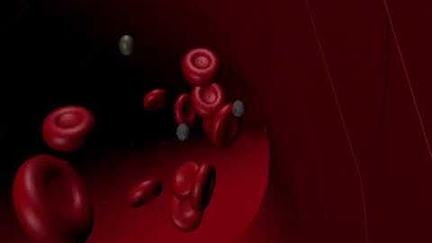 Red cells flowing in blood vessel
