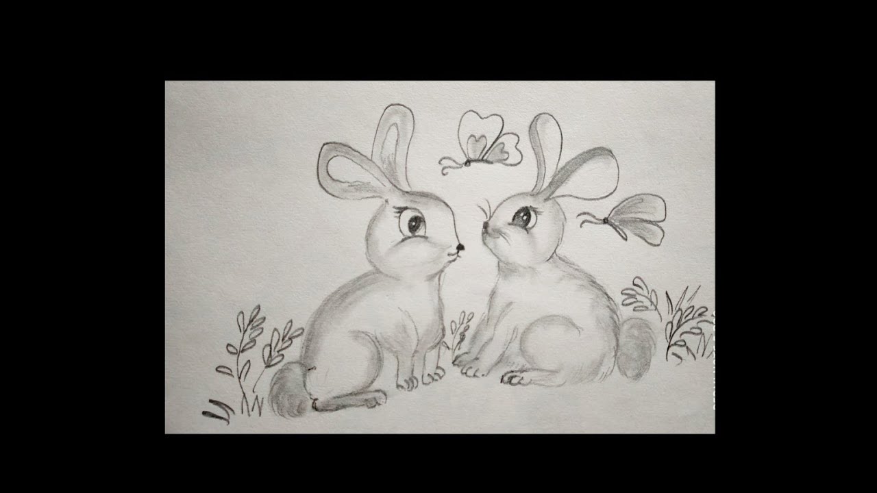 Two Rabbits Easy Drawing πΎπππ π½ππππππ/πππ ππΌπ½π½πππ ππππΎππ πΏππΌππππ/ππΌππ πΏππΌππππ - YouTube