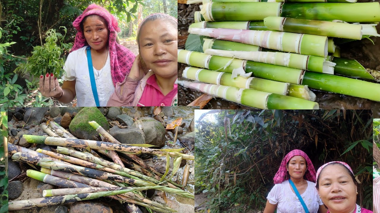 Bamboo shoot benaya hai village women ️ ️ ️ - YouTube