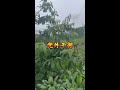 #纪实故事#故事会#睡前故事