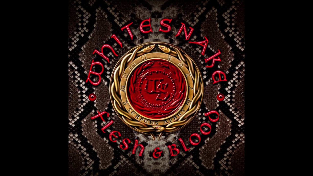 洋楽レコードpinkfloydvanhalenbeatleswhitesnake Whitesnake - Hey You (You Make Me Rock) (Official Audio