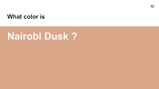 Nairobi Dusk color #d9a787 hex color - Brown color - Cool color d9a787