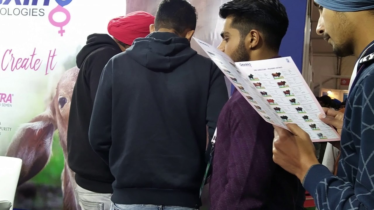 Glimpses of Agri Dairy & Poultry Expo 2020, Chandigharglimpses YouTube