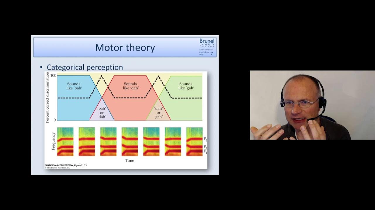 Cognitive Psychology Lecture 07 Language 2 Part 1 (Motor theory of