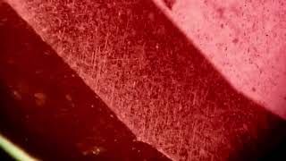 Amazing Inclusions In Rhodolite Garnet From Tanzania Pretty Little Gem