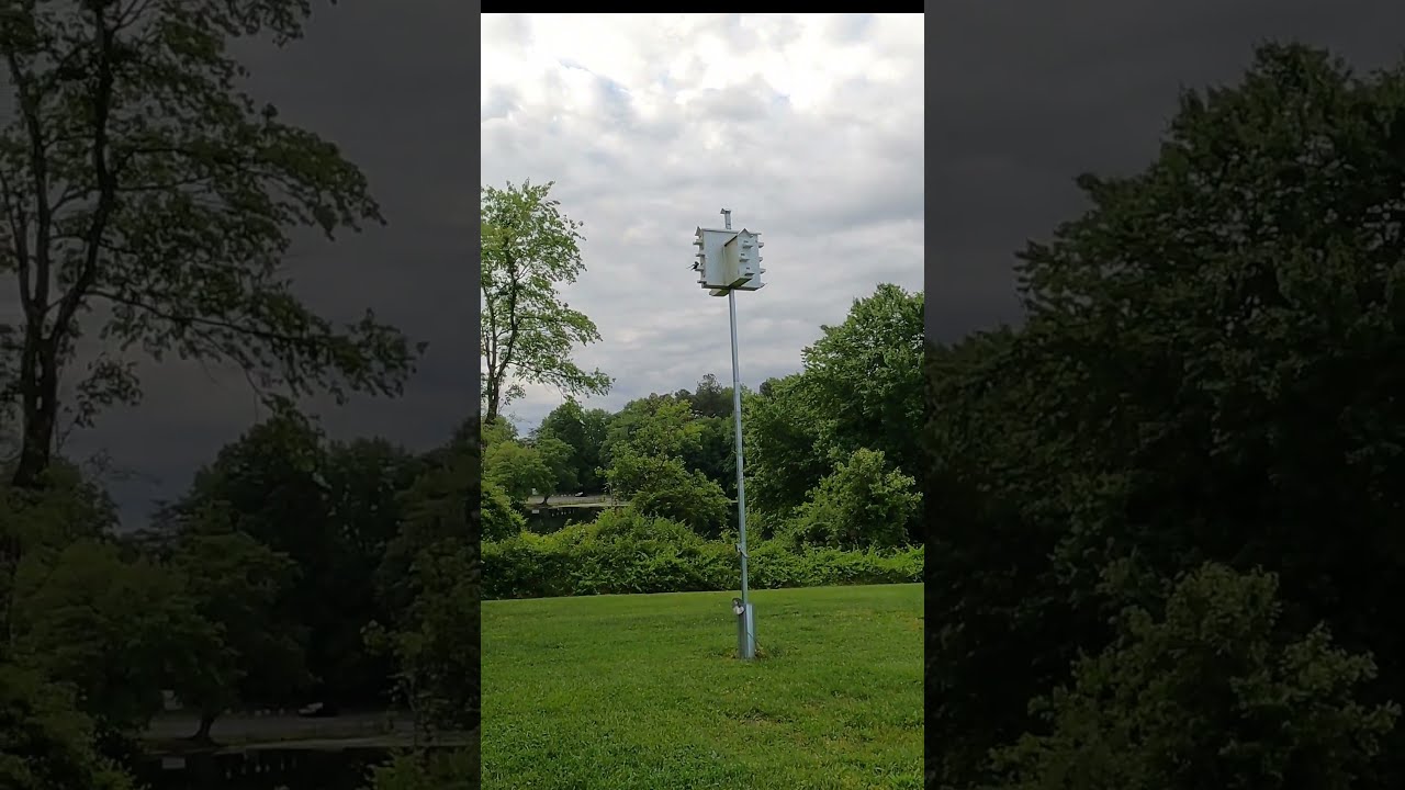 Purple Martin Houses 