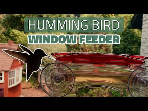 Suction Cup Window Hummingbird Feeder In Action