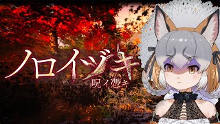 シマハイイロギツネ / Island Foxの配信のサムネイル画像