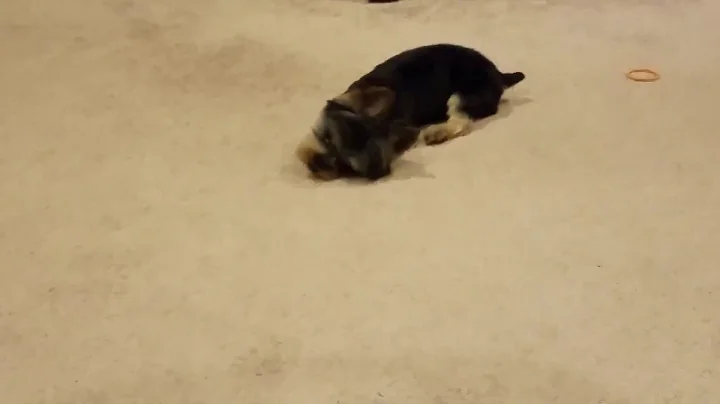 VID_20190821_202...