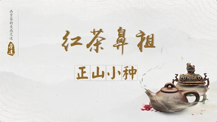 【茶道與養生】第3節 紅茶鼻祖：正山小種 - 天天要聞