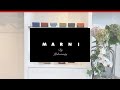 MARNI(マルニ) / Mini Wallet  ミニウォレット