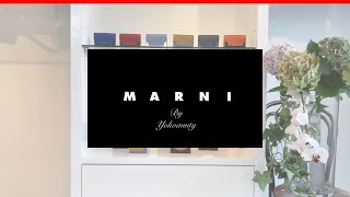 MARNI(マルニ) / Mini Wallet  ミニウォレット